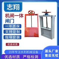 機(jī)閘一體鑄鐵閘門